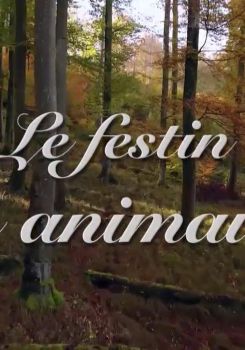 Feast of the Animals