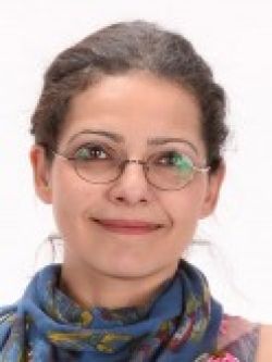 Müge Saut