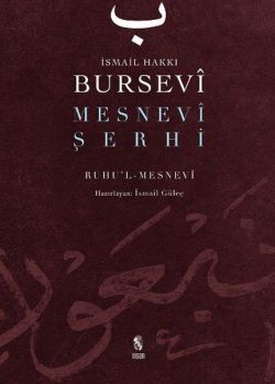 Mesnevi Şerhi