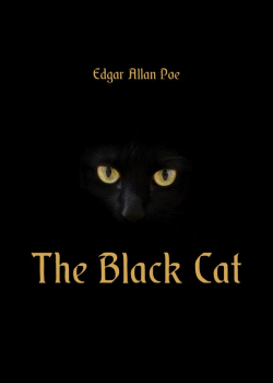 The Black Cat