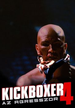 Kickboxer 4: The Aggressor