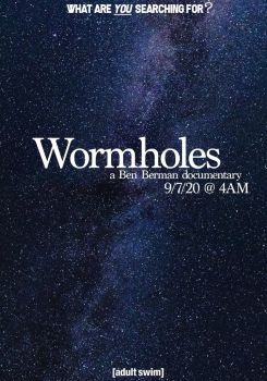 Wormholes
