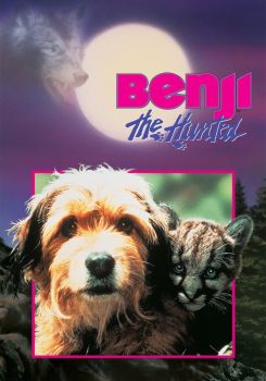 Av Köpeği Benji