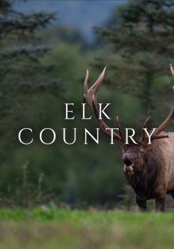 Elk Country