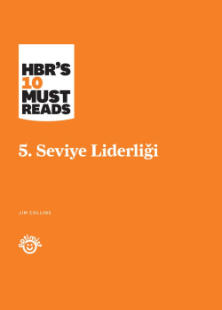 5. Seviye Liderliği