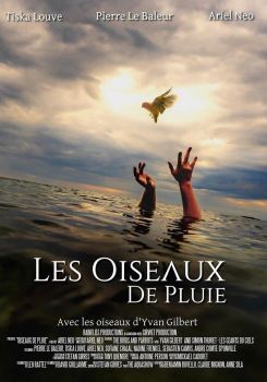 Les Oiseaux de pluie