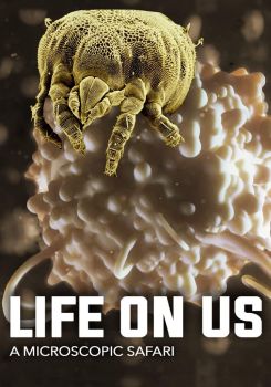 Life on Us: A Microscopic Safari