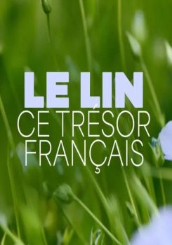 Le lin, ce trésor français