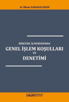 Bireysel İş Hukukunda Genel İşlem Koşulları ve Denetimi