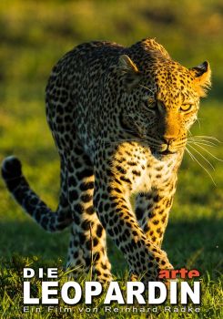 The Leopardess