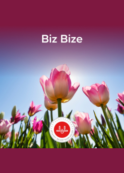 Biz Bize