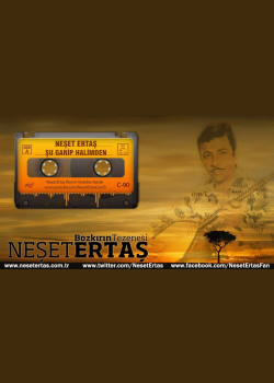 Neşet Ertaş - Şu Garip Halimden