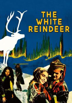 The White Reindeer