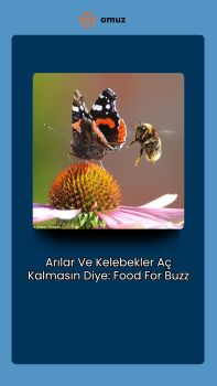 Arılar Ve Kelebekler Aç Kalmasın Diye: Food For Buzz