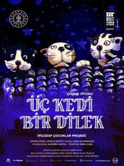 ÜÇ KEDİ BİR DİLEK (Filozof Çocuklar Projesi)