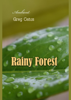 Rainy Forest: Ambient Nature Sounds