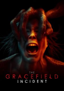 The Gracefield Incident