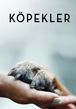 Köpekler