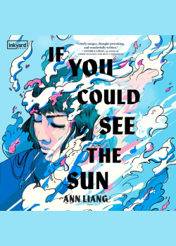If You Could See the Sun