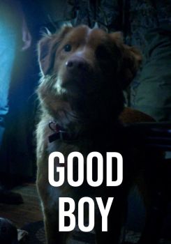 Good Boy