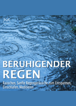Beruhigender Regen – Rauschen, Sanfte Regengeräusche zum Entspannen, Einschlafen, Meditieren: Naturgeräusche pur, Regentropfen, Leichter Regen, Waldregen, Leichtes Gewitter, Sommerregen, Regen am Abend