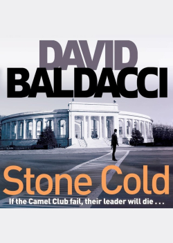 Stone Cold