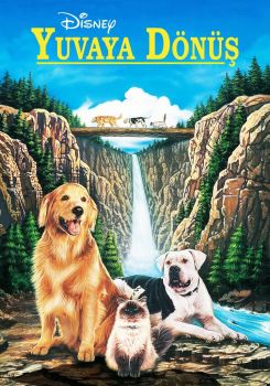 Yuvaya Dönüş