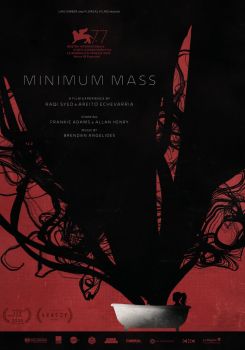 Minimum Mass