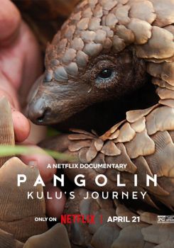 Pangolin: Kulu'nun Yolculuğu