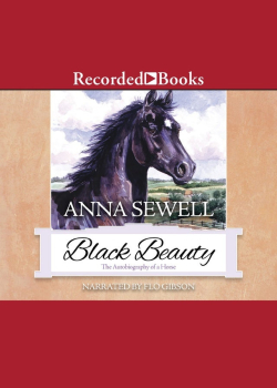 Black Beauty