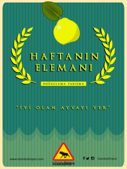 Haftanın Elemanı