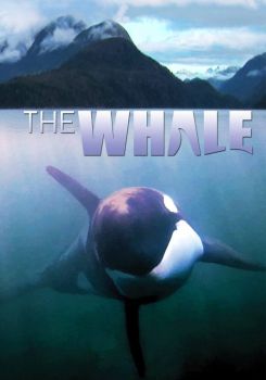 The Whale