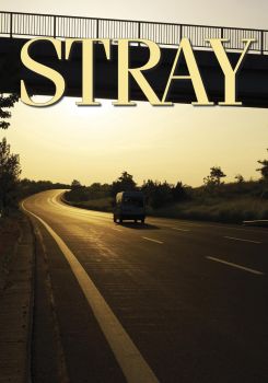 Stray