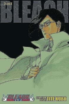 Bleach (3-in-1 Edition) Vol. 24