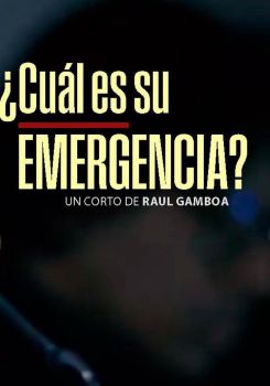 ¿Cuál es su emergencia?