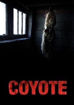 Coyote