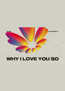 Alok, James Hurr & Supafly - Why I Love You So (Official Visualizer)