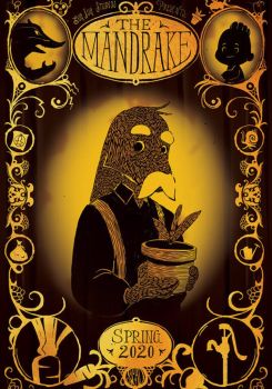 The Mandrake