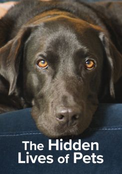 The Hidden Lives of Pets